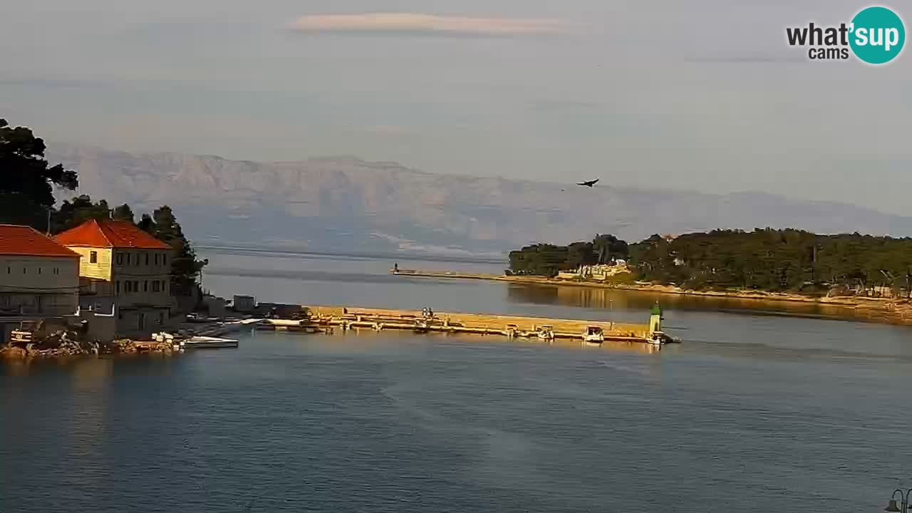 Gelsa webcam Lesina isola