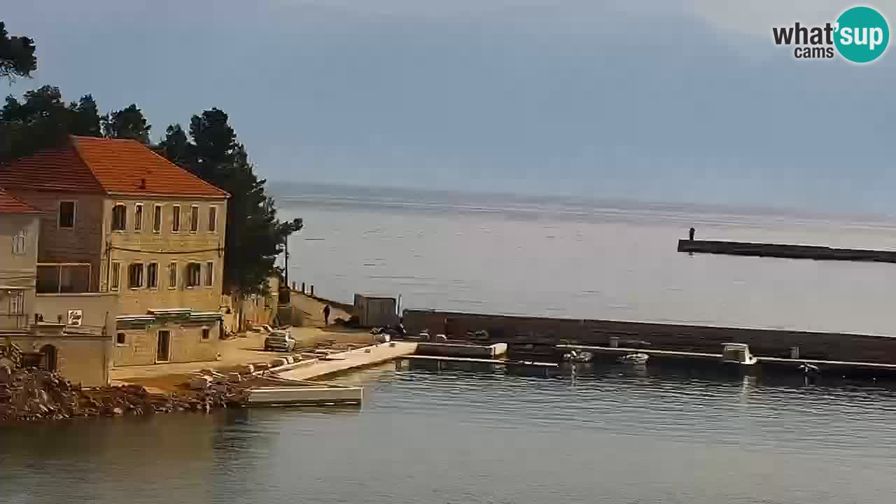 Jelsa Livecam Hvar island
