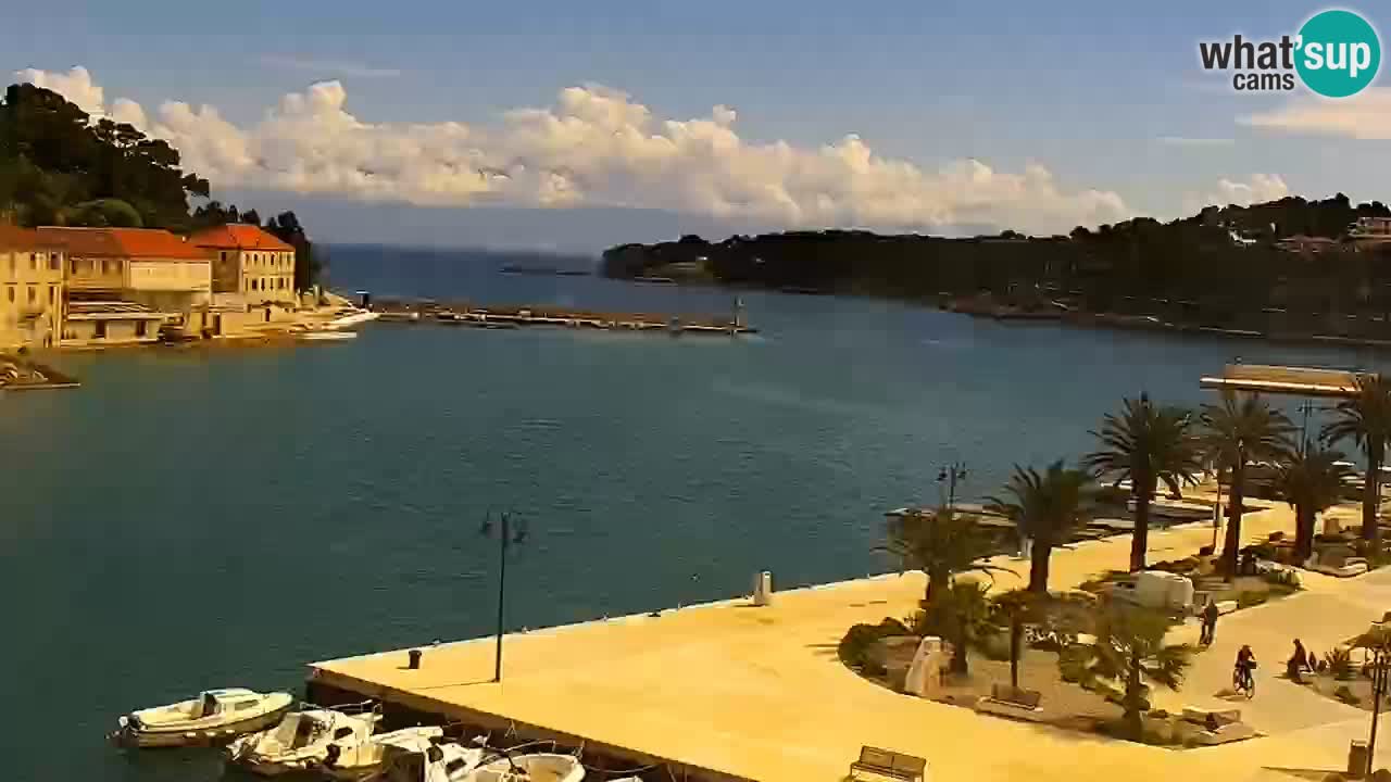 Gelsa webcam Lesina isola