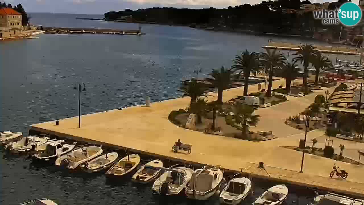 Webcam Jelsa Live motorisée – île de Hvar – Dalmatie – Croatie