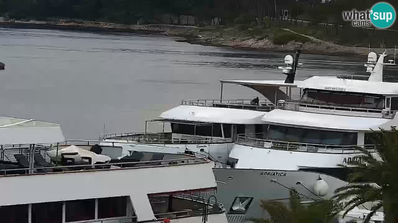 Jelsa Livecam Hvar