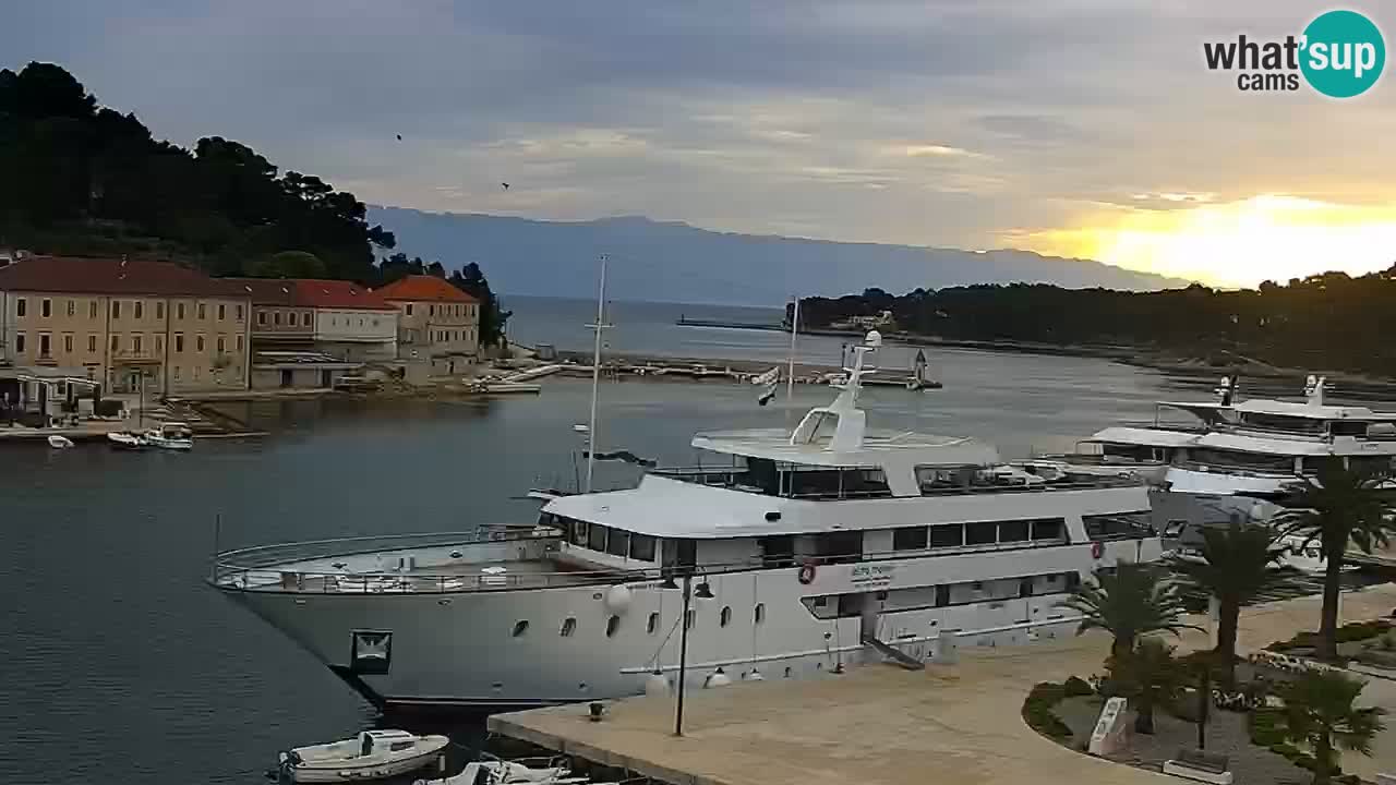Gelsa webcam Lesina isola