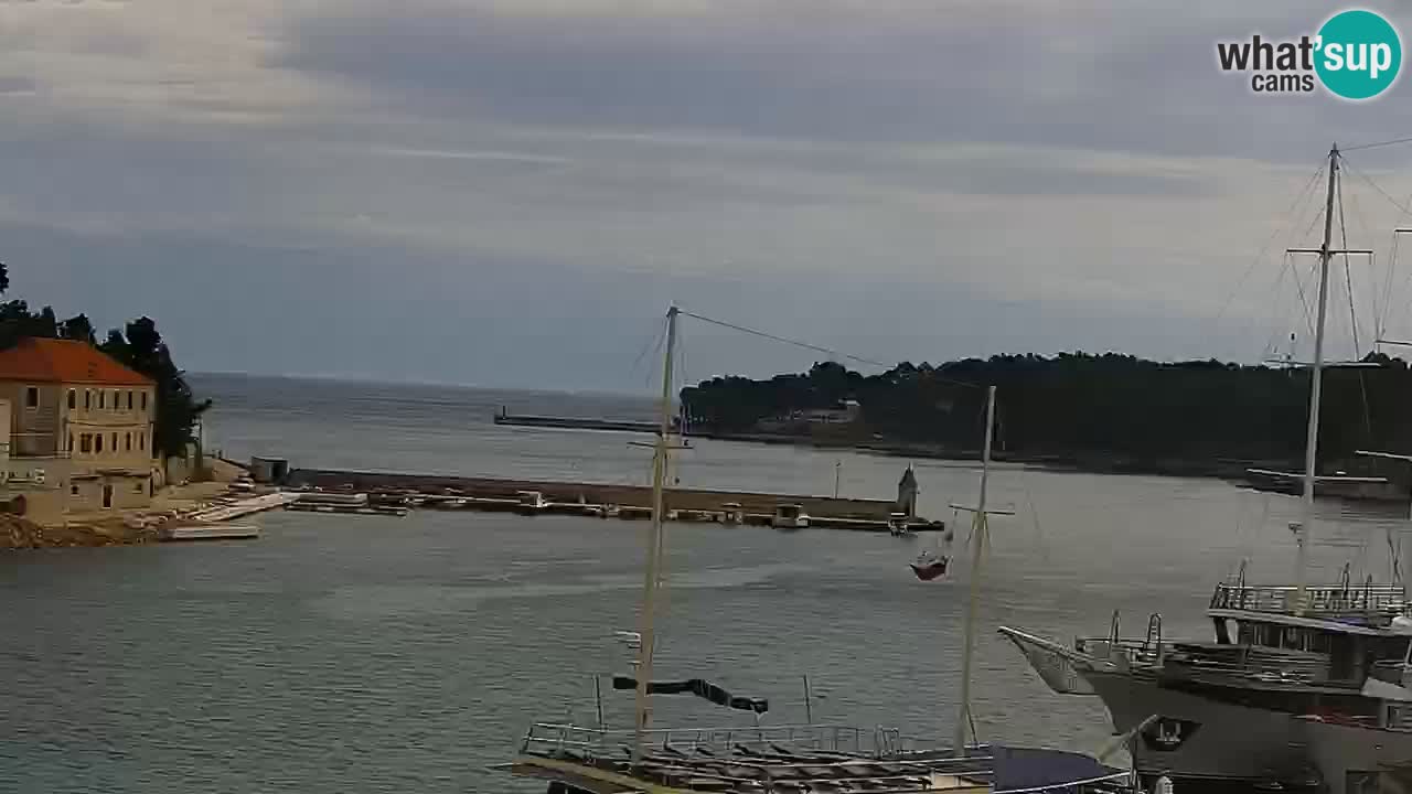 Jelsa Live Webcam motorized – Hvar island – Dalmatia – Croatia