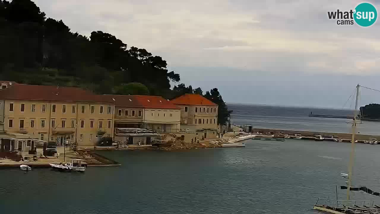 Webcam Jelsa Live motorisée – île de Hvar – Dalmatie – Croatie