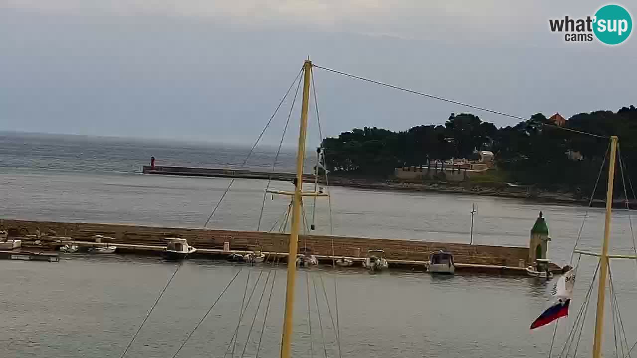 Jelsa Live Webcam motorized – Hvar island – Dalmatia – Croatia