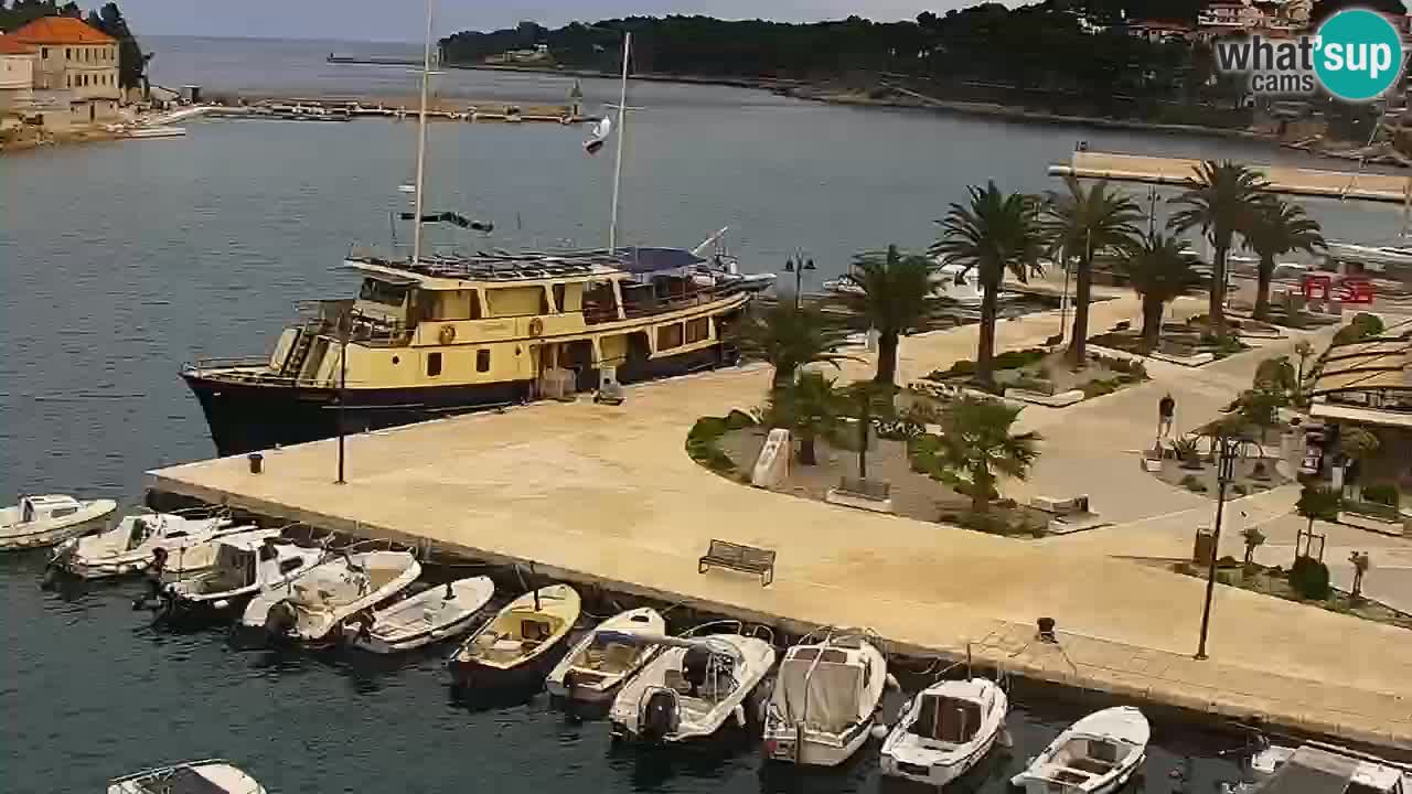 Jelsa camera en vivo – Isla de Hvar – Dalmacia – Croacia