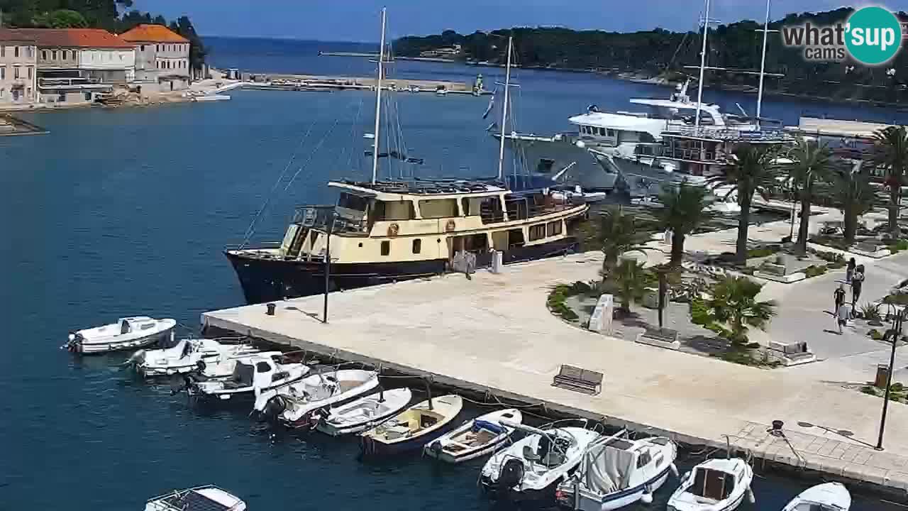 Gelsa webcam Lesina isola