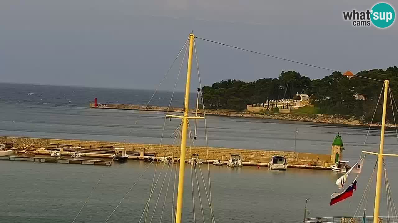 Webcam Jelsa Live motorisée – île de Hvar – Dalmatie – Croatie