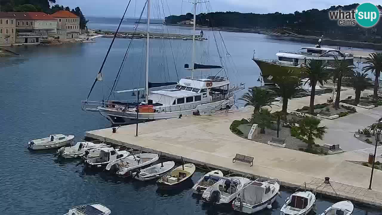 Jelsa Live Webcam motorizzata – Isola di Hvar – Dalmazia – Croazia
