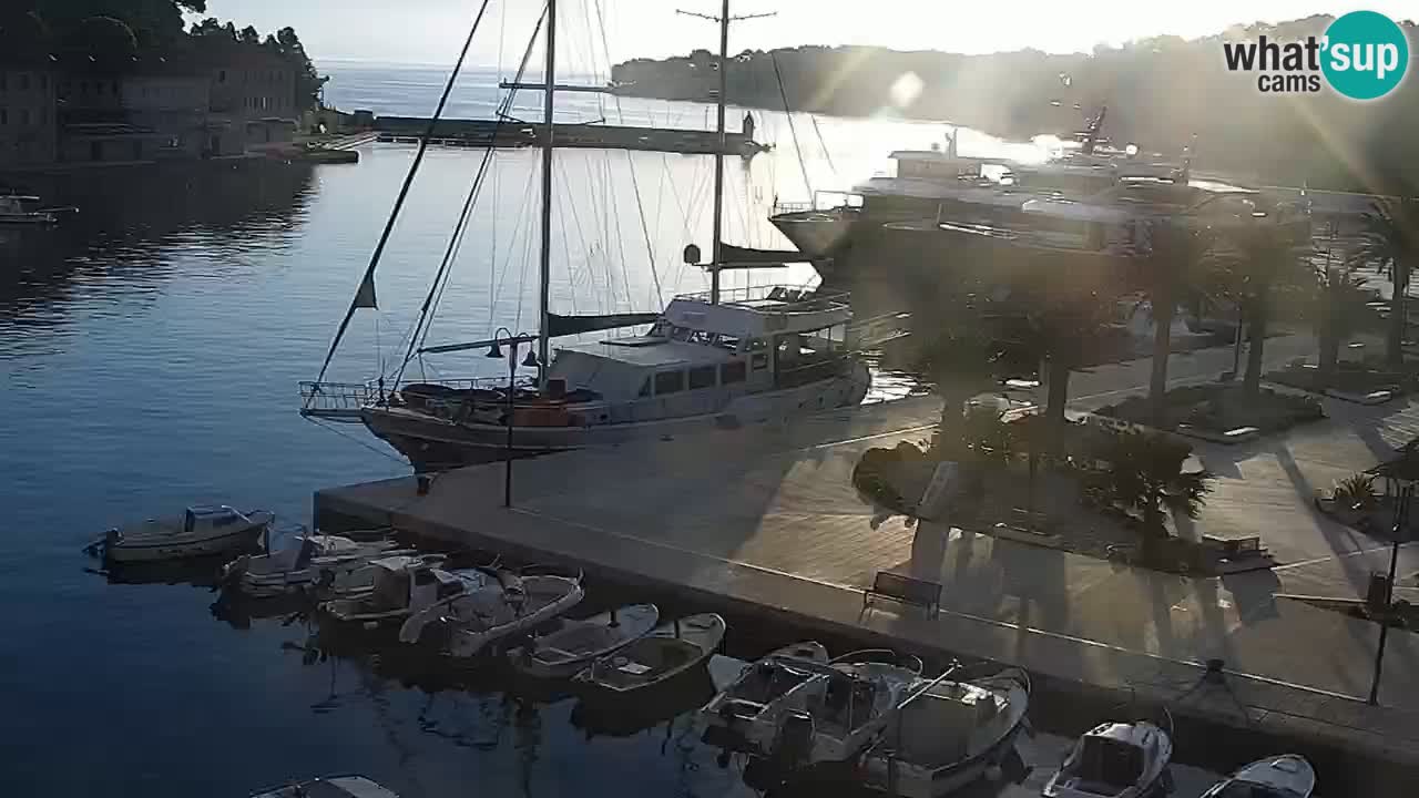 Jelsa Live Webcam motorizzata – Isola di Hvar – Dalmazia – Croazia