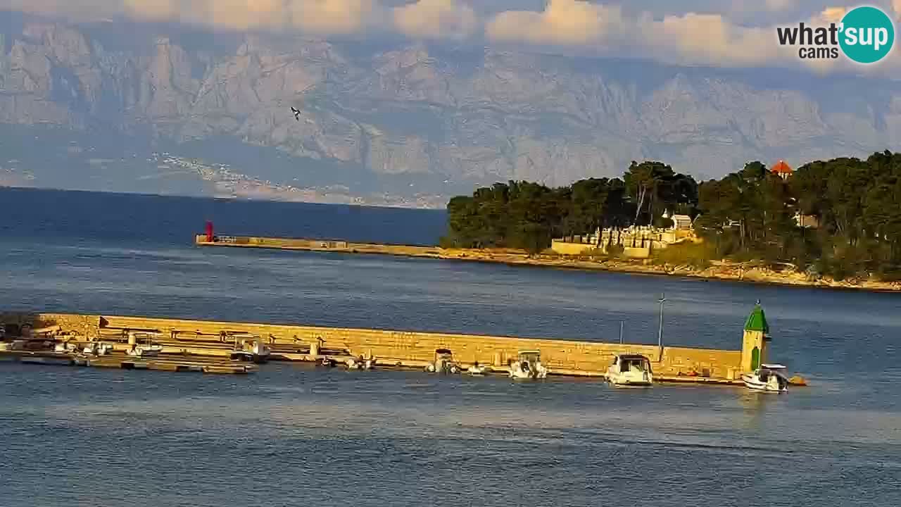 Webcam Jelsa Live motorisée – île de Hvar – Dalmatie – Croatie