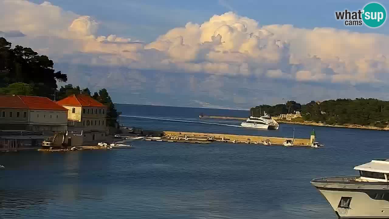 Gelsa webcam Lesina isola