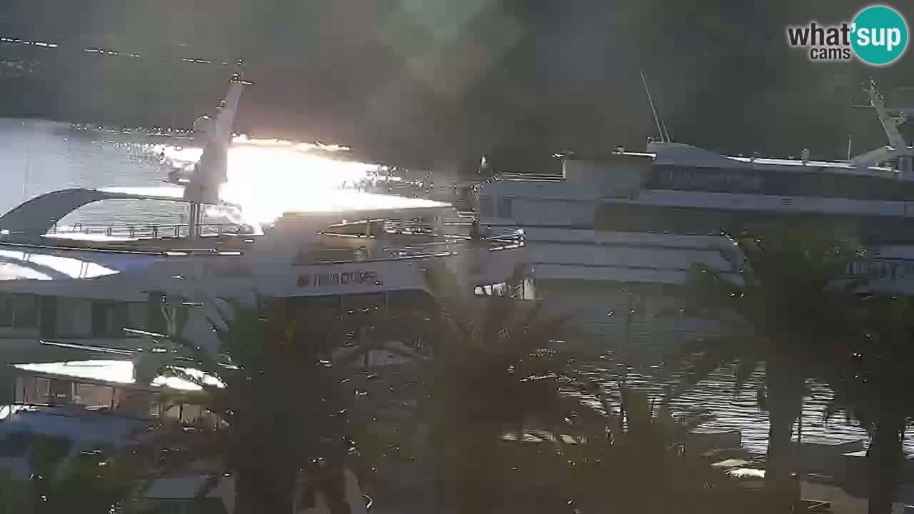 Webcam Jelsa Live motorisée – île de Hvar – Dalmatie – Croatie