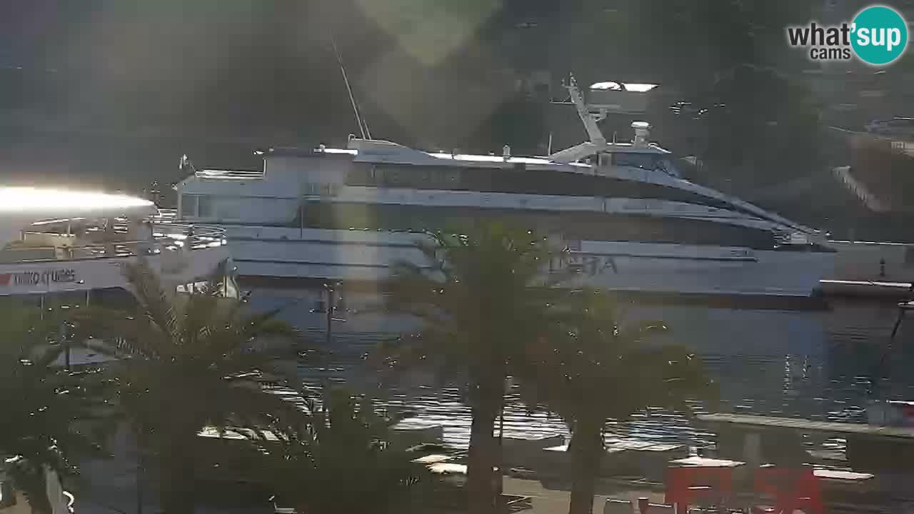 Jelsa Live Webcam motorizzata – Isola di Hvar – Dalmazia – Croazia