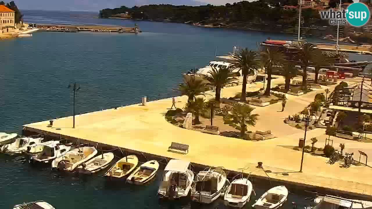 Gelsa webcam Lesina isola