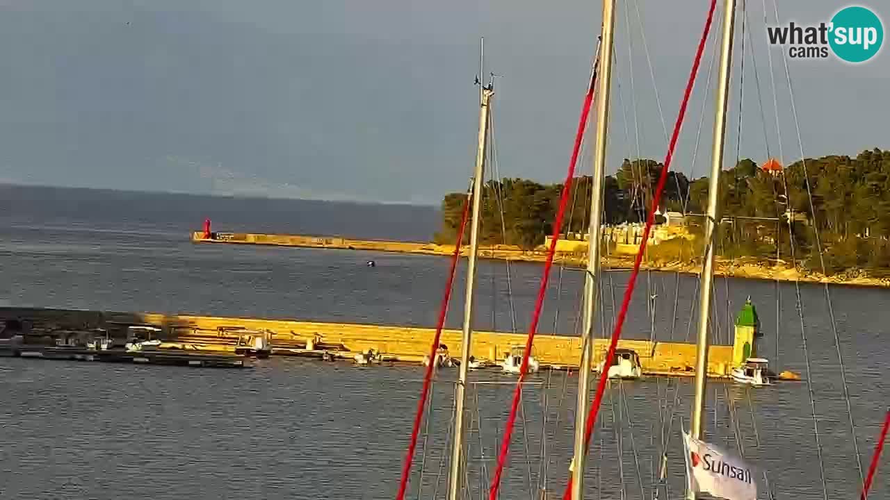 Jelsa camera en vivo Hvar isla
