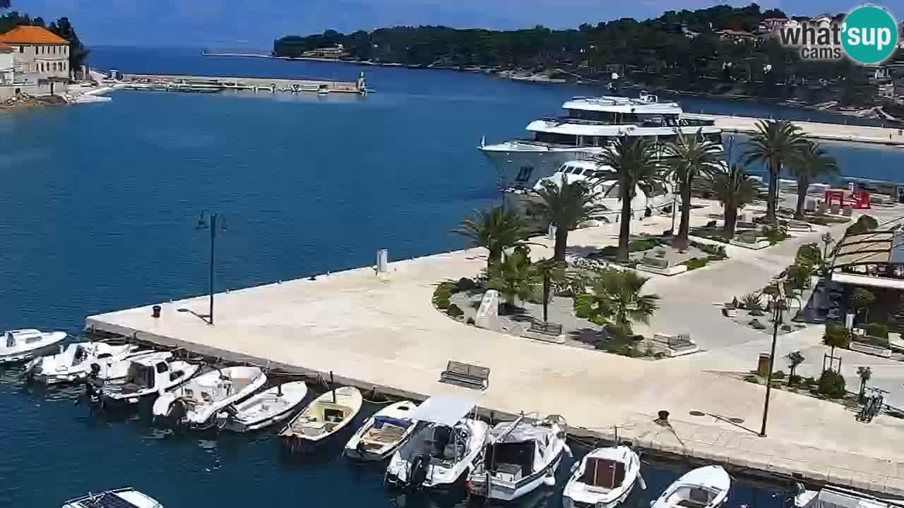 Jelsa camera en vivo – Isla de Hvar – Dalmacia – Croacia