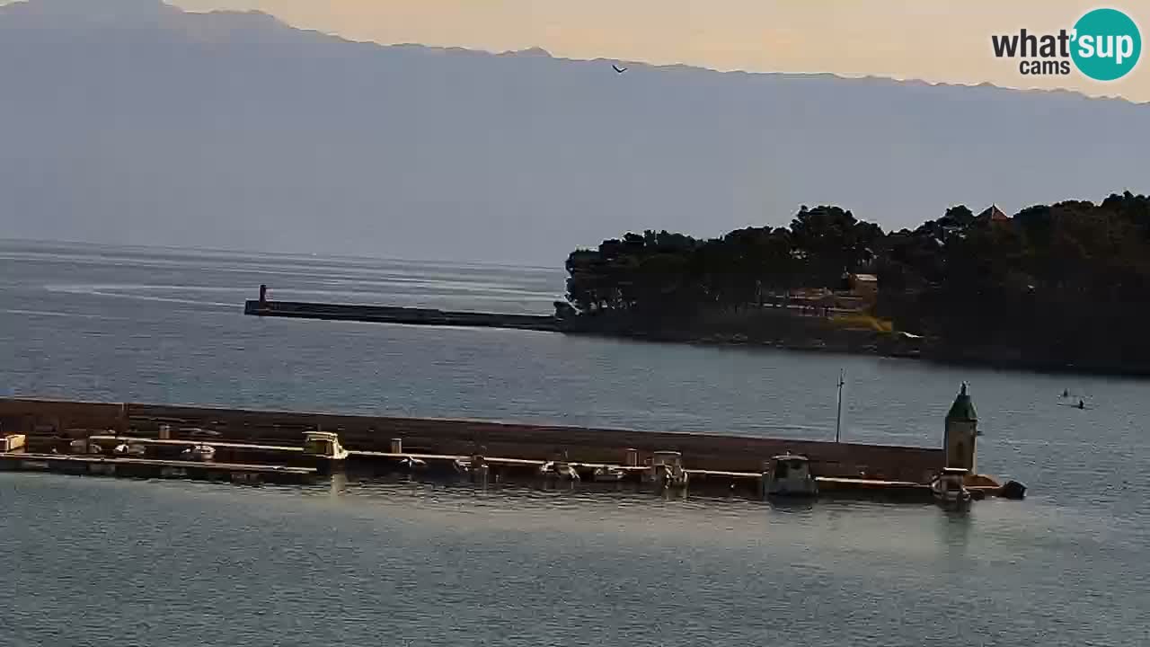 Jelsa web kamera Hvar otok