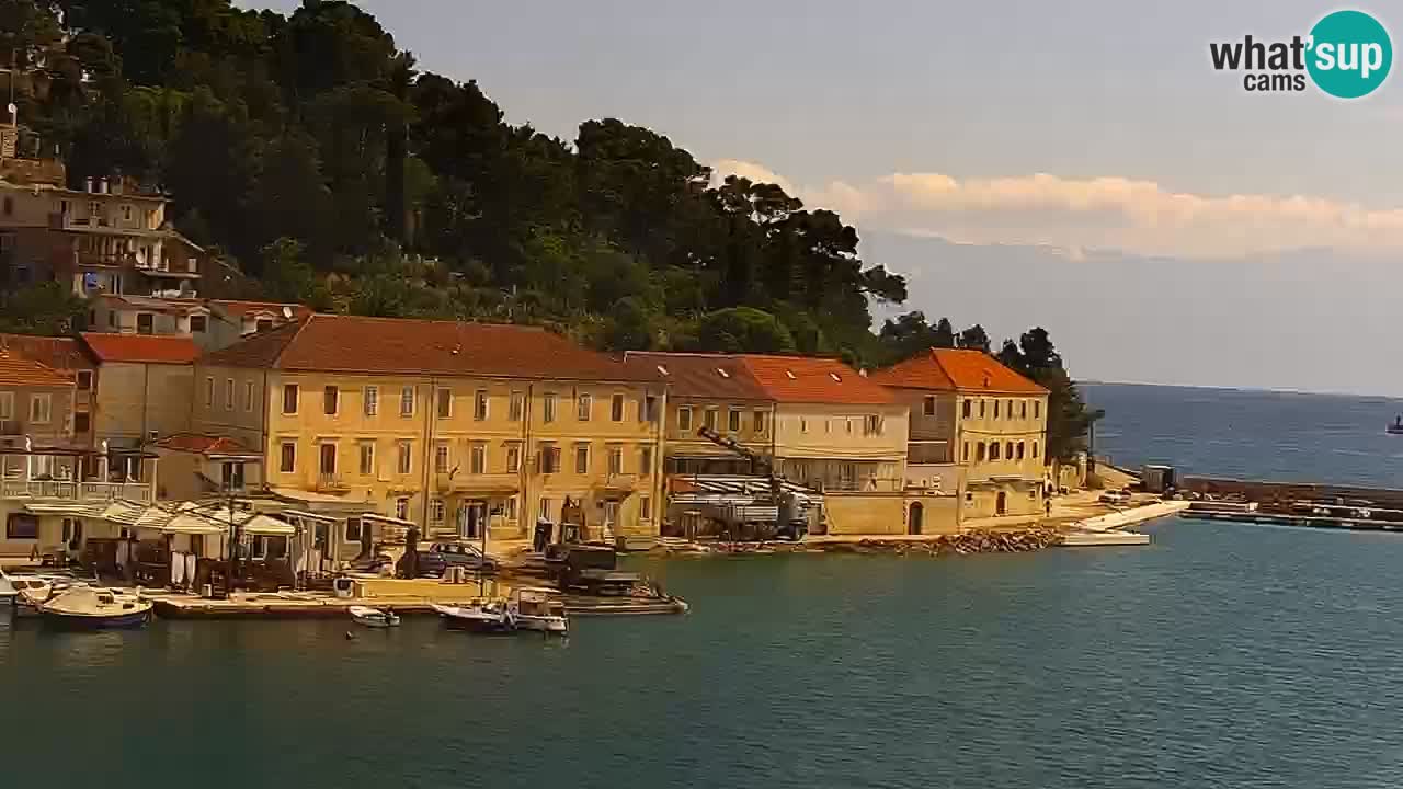 Jelsa Live Webcam motorizzata – Isola di Hvar – Dalmazia – Croazia