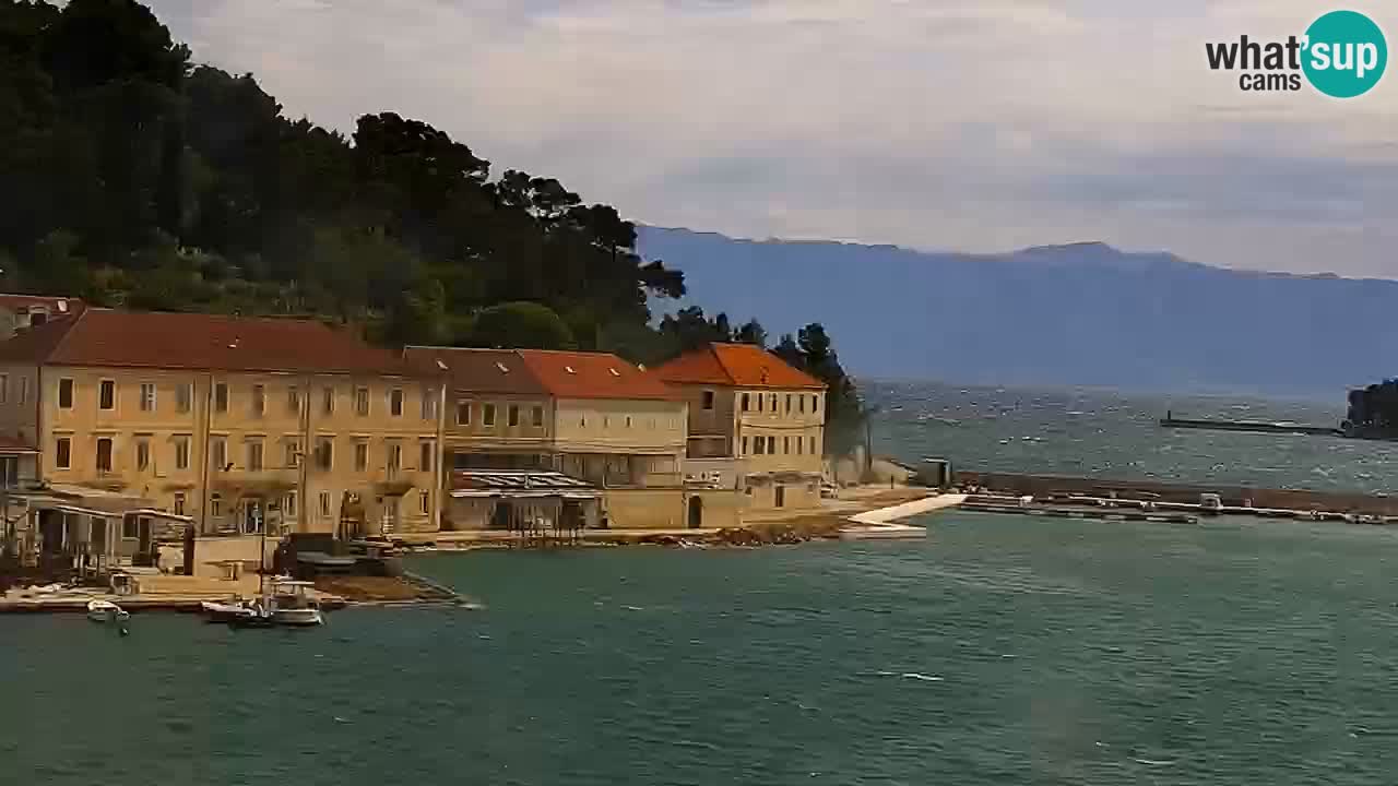 Jelsa Live Webcam motorizzata – Isola di Hvar – Dalmazia – Croazia