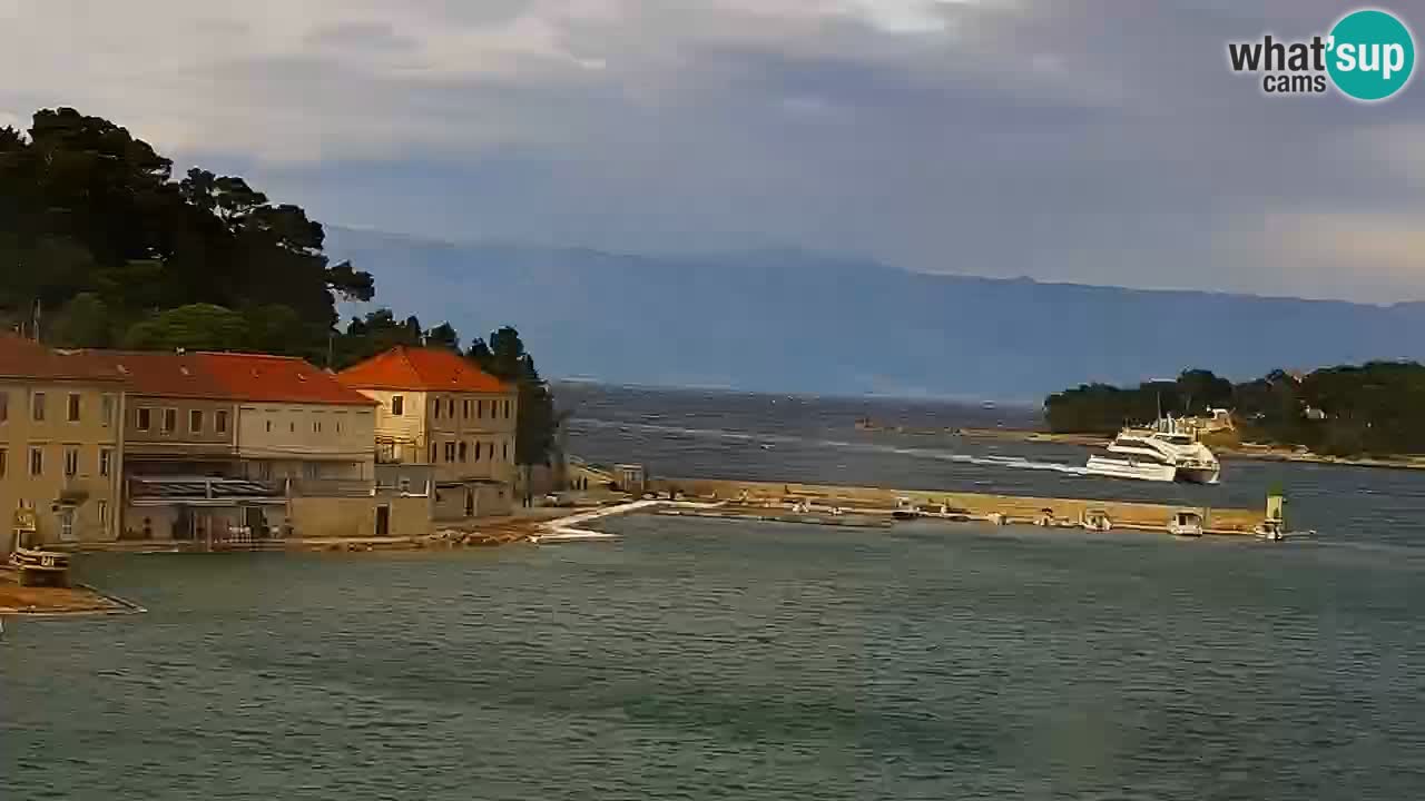 Jelsa web kamera Hvar otok