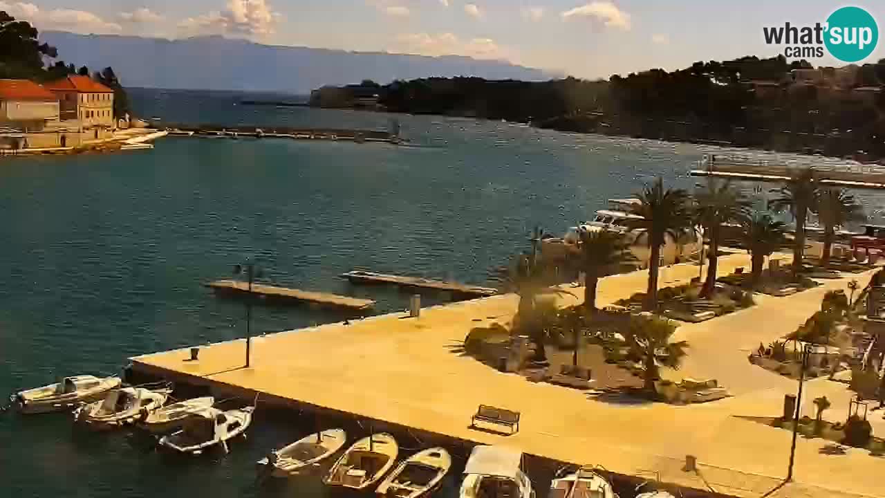 Jelsa camera en vivo – Isla de Hvar – Dalmacia – Croacia