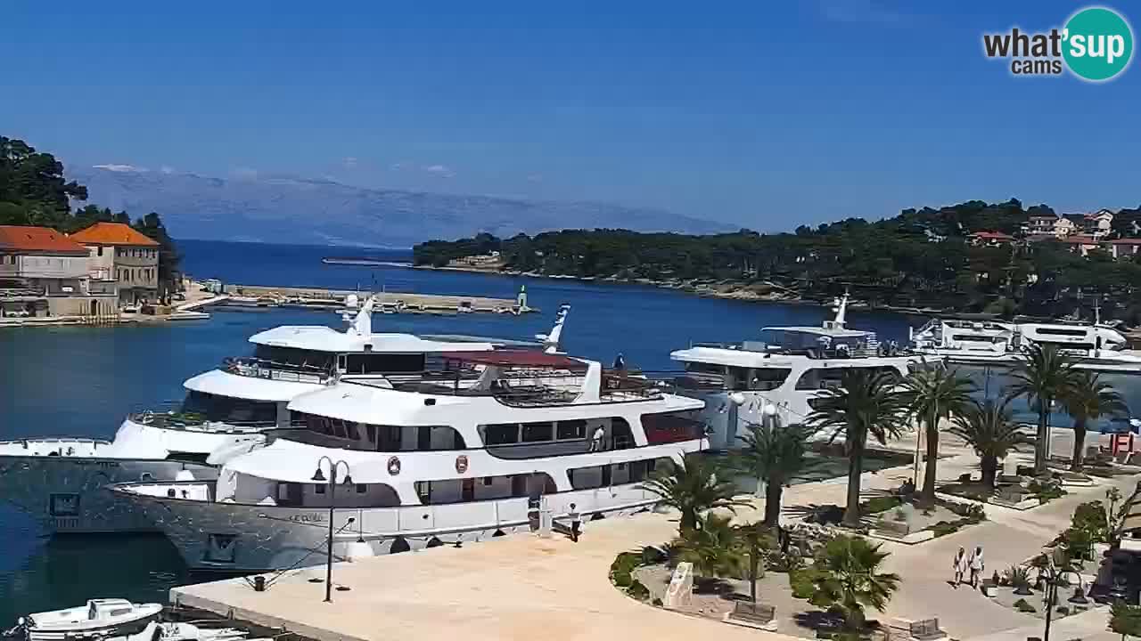 Jelsa Live Webcam motorizzata – Isola di Hvar – Dalmazia – Croazia