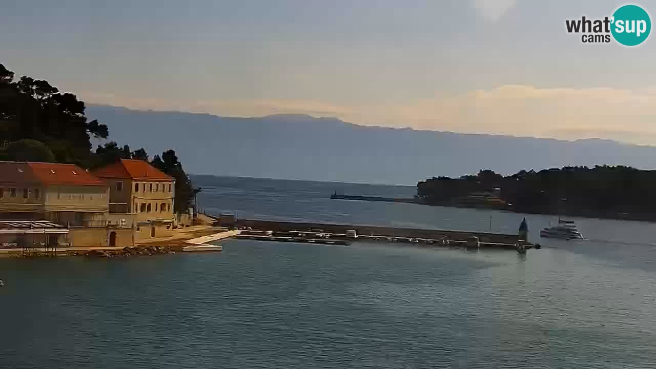Jelsa Live Webcam motorizzata – Isola di Hvar – Dalmazia – Croazia