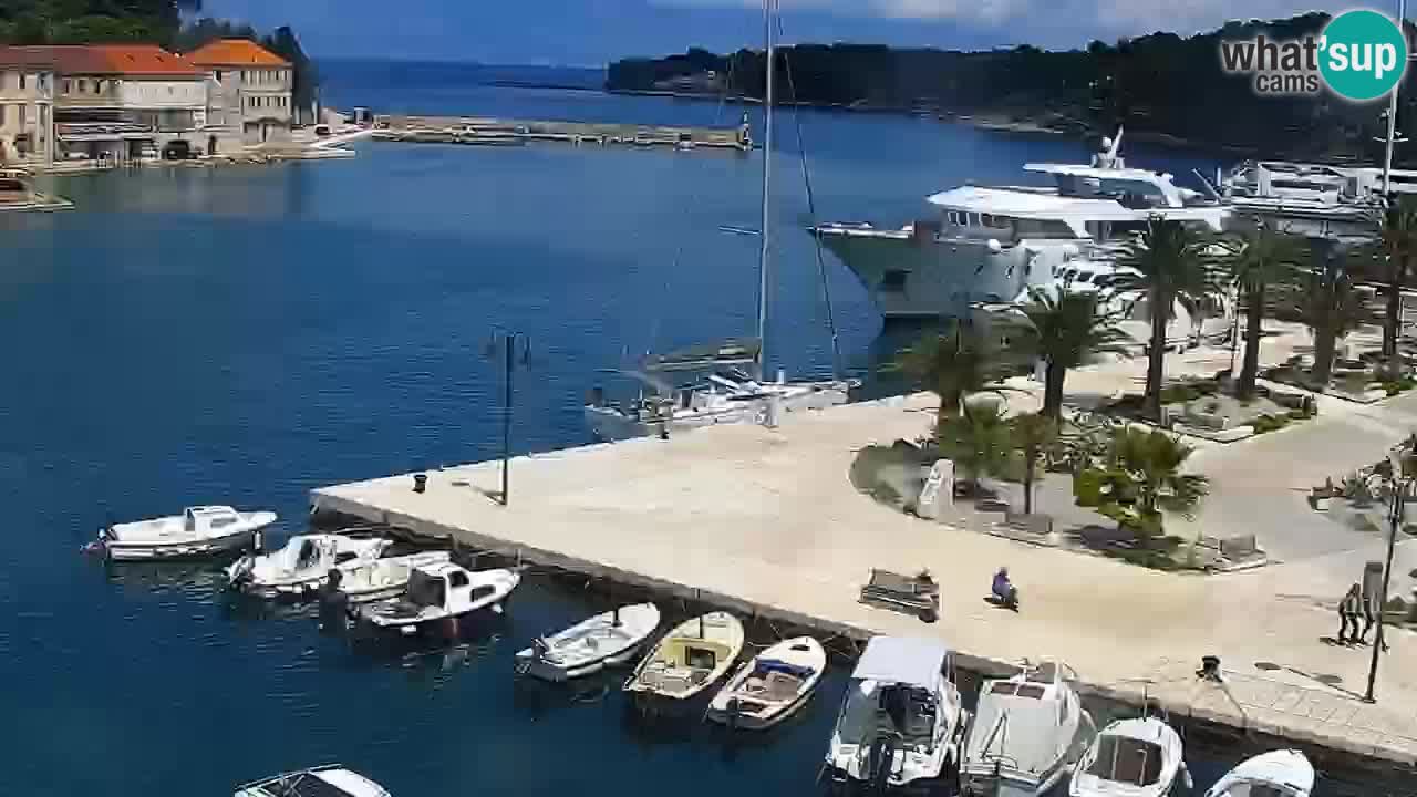 Jelsa Live Webcam motorized – Hvar island – Dalmatia – Croatia