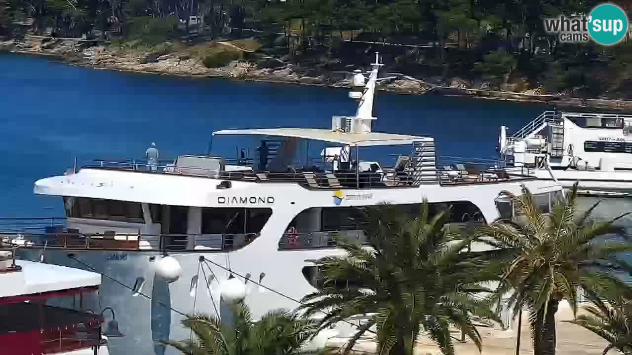 Jelsa Live Webcam motorized – Hvar island – Dalmatia – Croatia