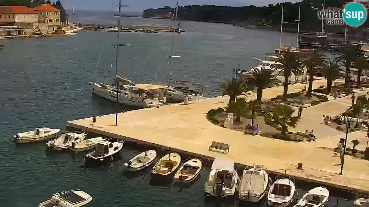 Jelsa Live Webcam motorizzata – Isola di Hvar – Dalmazia – Croazia