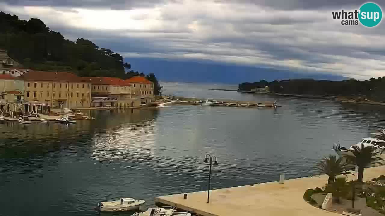 Jelsa camera en vivo – Isla de Hvar – Dalmacia – Croacia