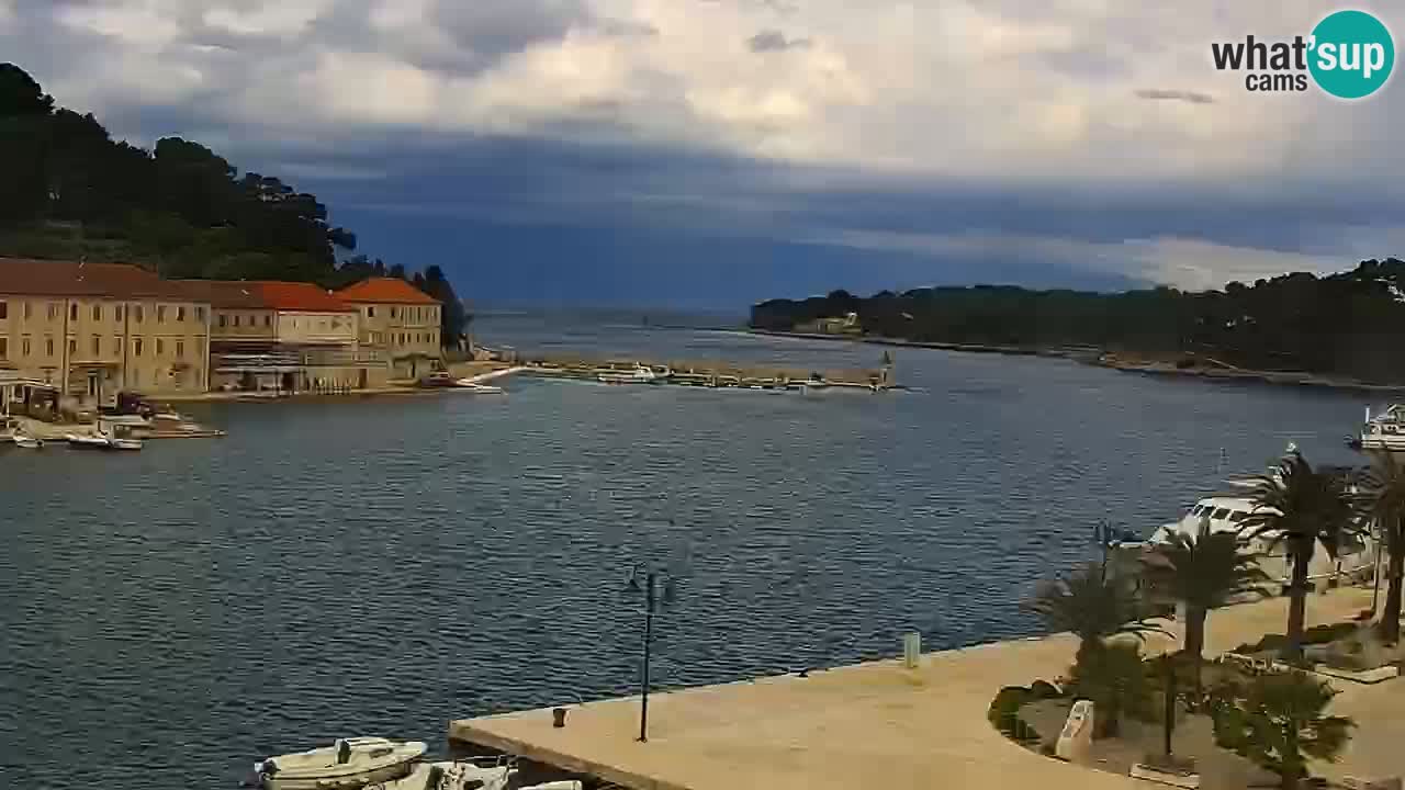 Jelsa vrtljiva spletna kamera otok Hvar – Dalmacija – Hrvaška
