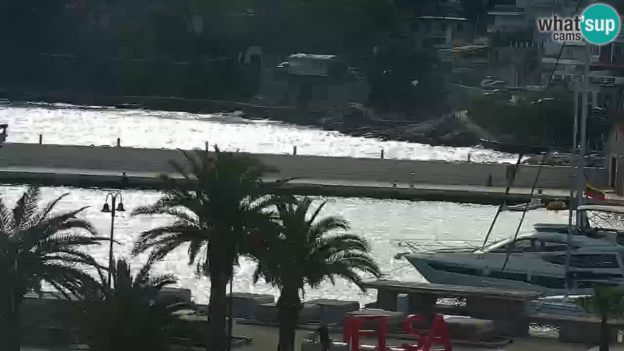 Jelsa camera en vivo – Isla de Hvar – Dalmacia – Croacia
