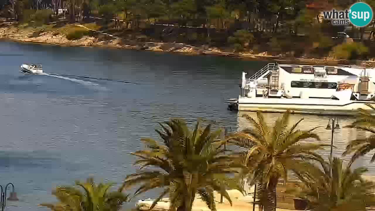Webcam Jelsa Live motorisée – île de Hvar – Dalmatie – Croatie