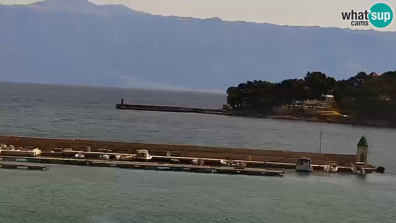 Jelsa camera en vivo – Isla de Hvar – Dalmacia – Croacia