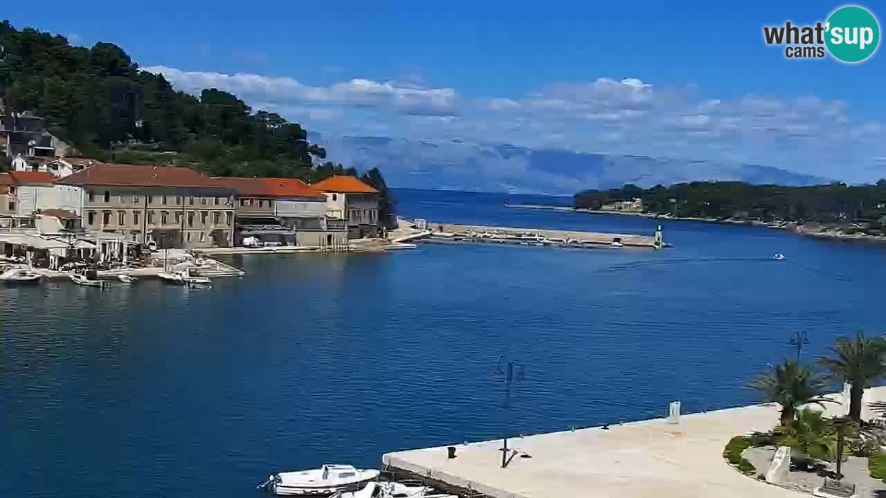 Jelsa Live Webcam motorizzata – Isola di Hvar – Dalmazia – Croazia
