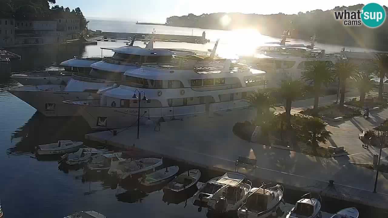 Jelsa camera en vivo – Isla de Hvar – Dalmacia – Croacia