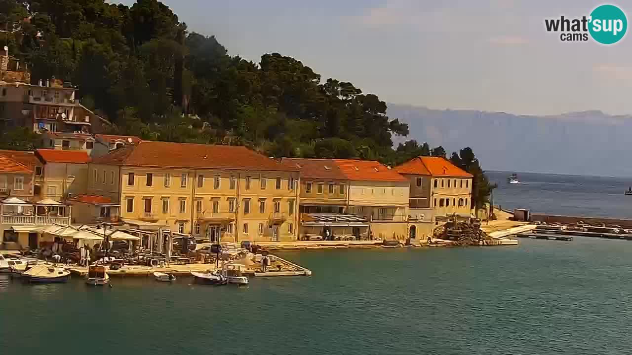 Jelsa Live Webcam motorizzata – Isola di Hvar – Dalmazia – Croazia