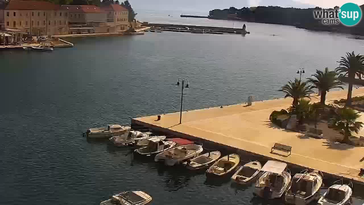 Webcam Jelsa Live motorisée – île de Hvar – Dalmatie – Croatie