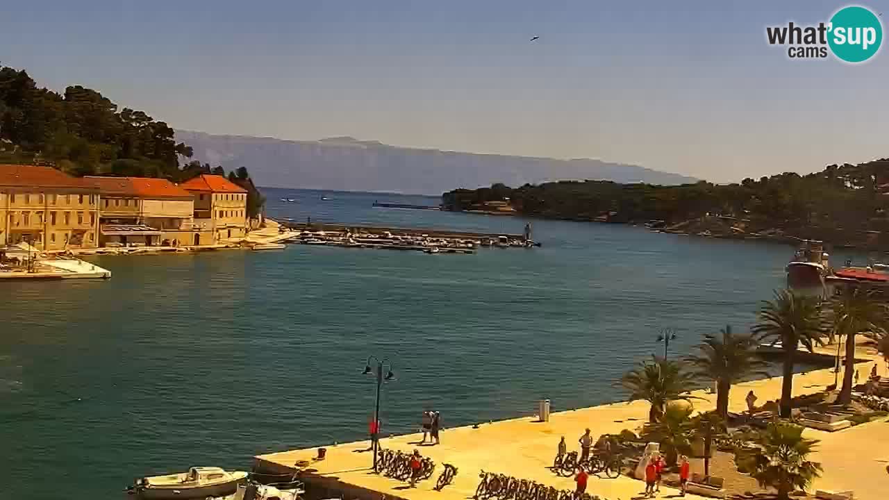 Jelsa Live Webcam motorized – Hvar island – Dalmatia – Croatia