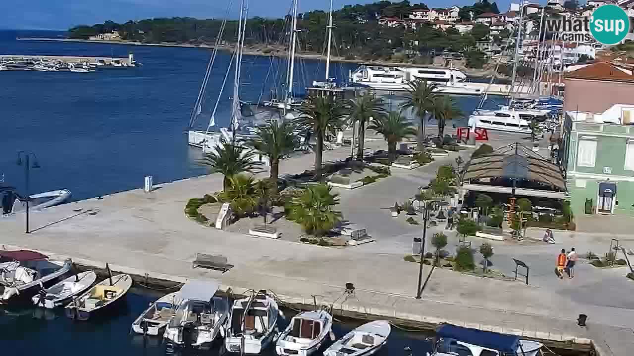 Gelsa webcam Lesina isola