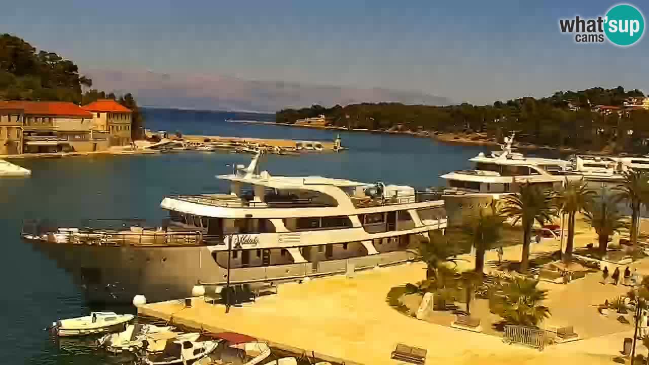 Webcam Jelsa Live motorisée – île de Hvar – Dalmatie – Croatie