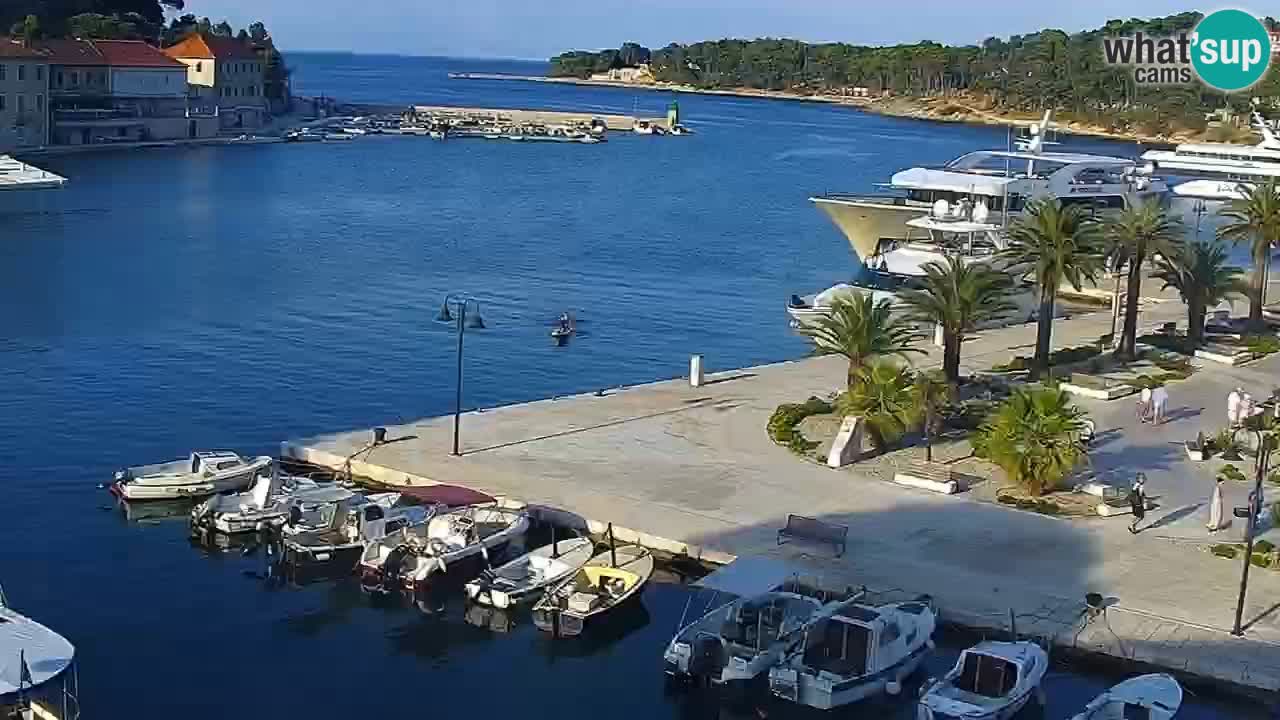 Jelsa Live Webcam motorizzata – Isola di Hvar – Dalmazia – Croazia
