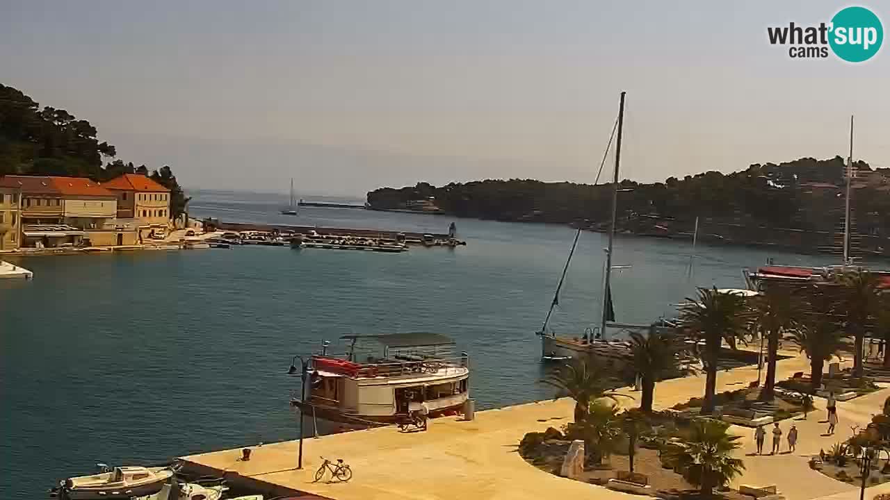 Webcam Jelsa Live motorisée – île de Hvar – Dalmatie – Croatie