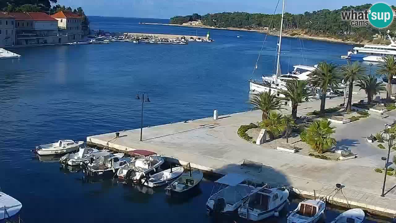 Jelsa Live Webcam motorisiert – Insel Hvar – Dalmatien – Kroatien