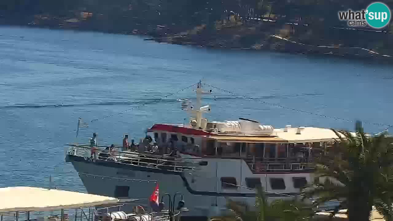 Webcam Jelsa Live motorisée – île de Hvar – Dalmatie – Croatie