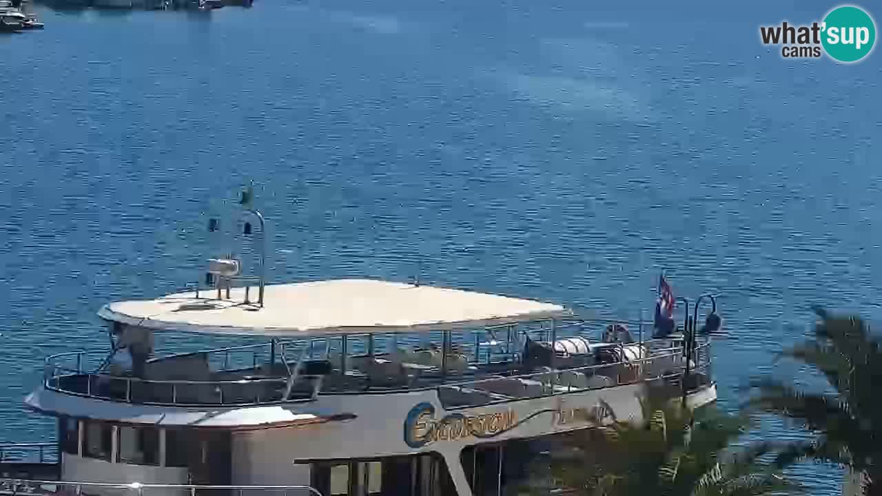 Jelsa Live Webcam motorizzata – Isola di Hvar – Dalmazia – Croazia