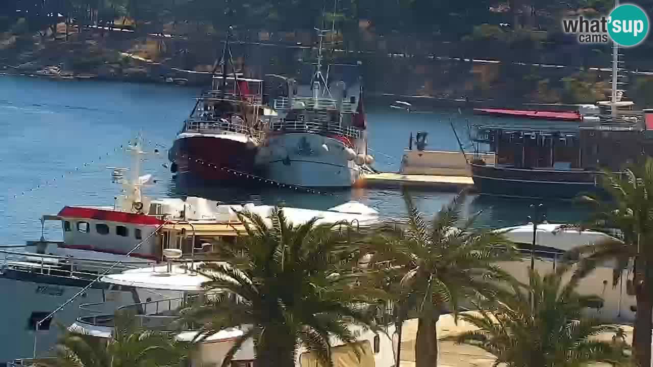 Jelsa Live Webcam motorizzata – Isola di Hvar – Dalmazia – Croazia