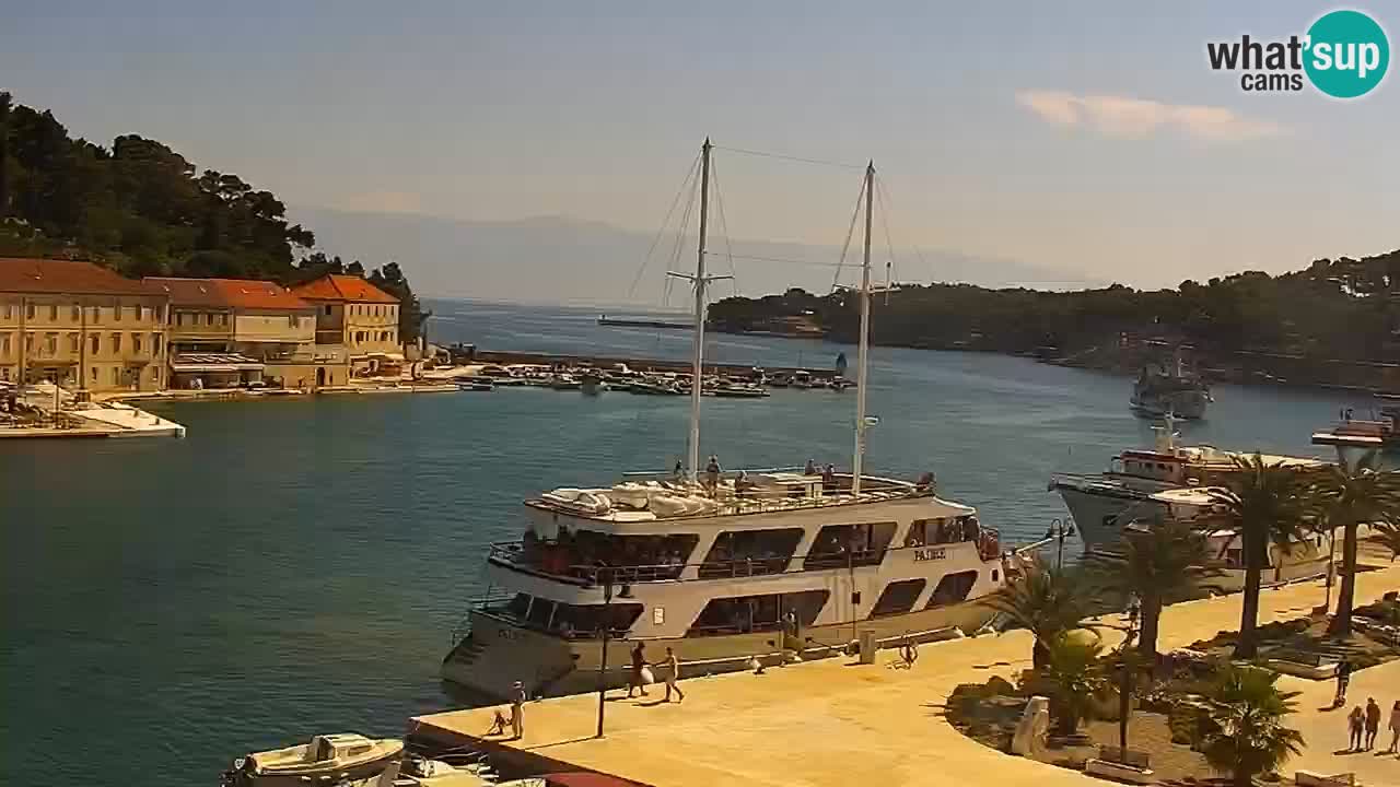 Jelsa motorizirana web kamera – otok Hvar – Dalmacija